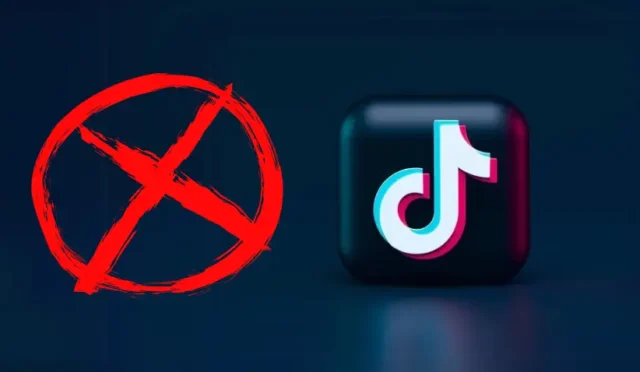 TikTok ABDde Yasaklandı: Ulusal Güvenlik Tartışmaları ve Gelişmeler