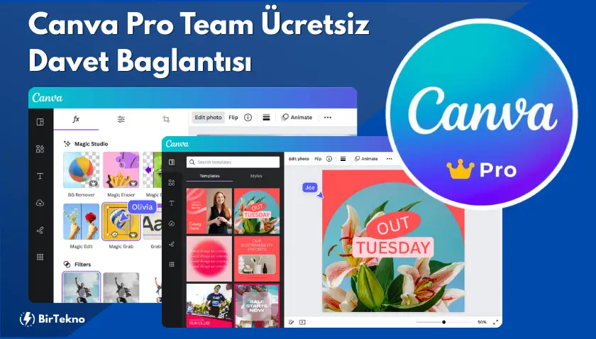 Canva Pro Team Ücretsiz Davet Bağlantısı 2025 [Güncellendi]