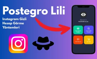 Postegro Lili ile Instagram Gizli Hesap Görme Yöntemleri - 2025