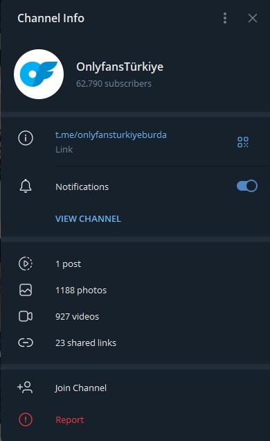 OnlyfansTürkiye - Telegram Grubu